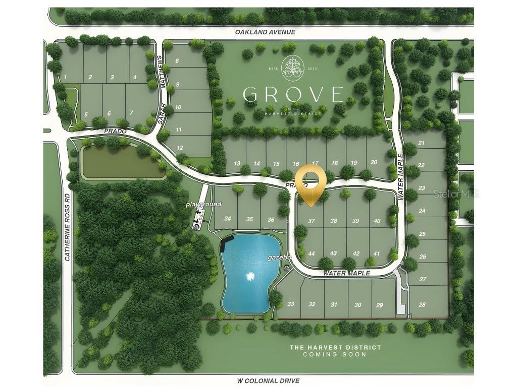 1146 Prado Lane Oakland FL 34787 O6359354 image14