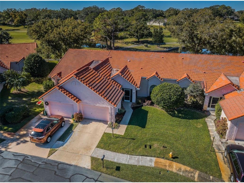 1146 Rustlewood Court Palm Harbor FL 34684 U8184959 image1