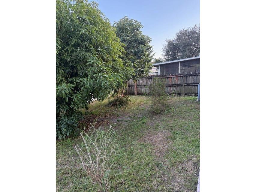 11460 Kenley Circle Orlando FL 32824 S5141068 image34