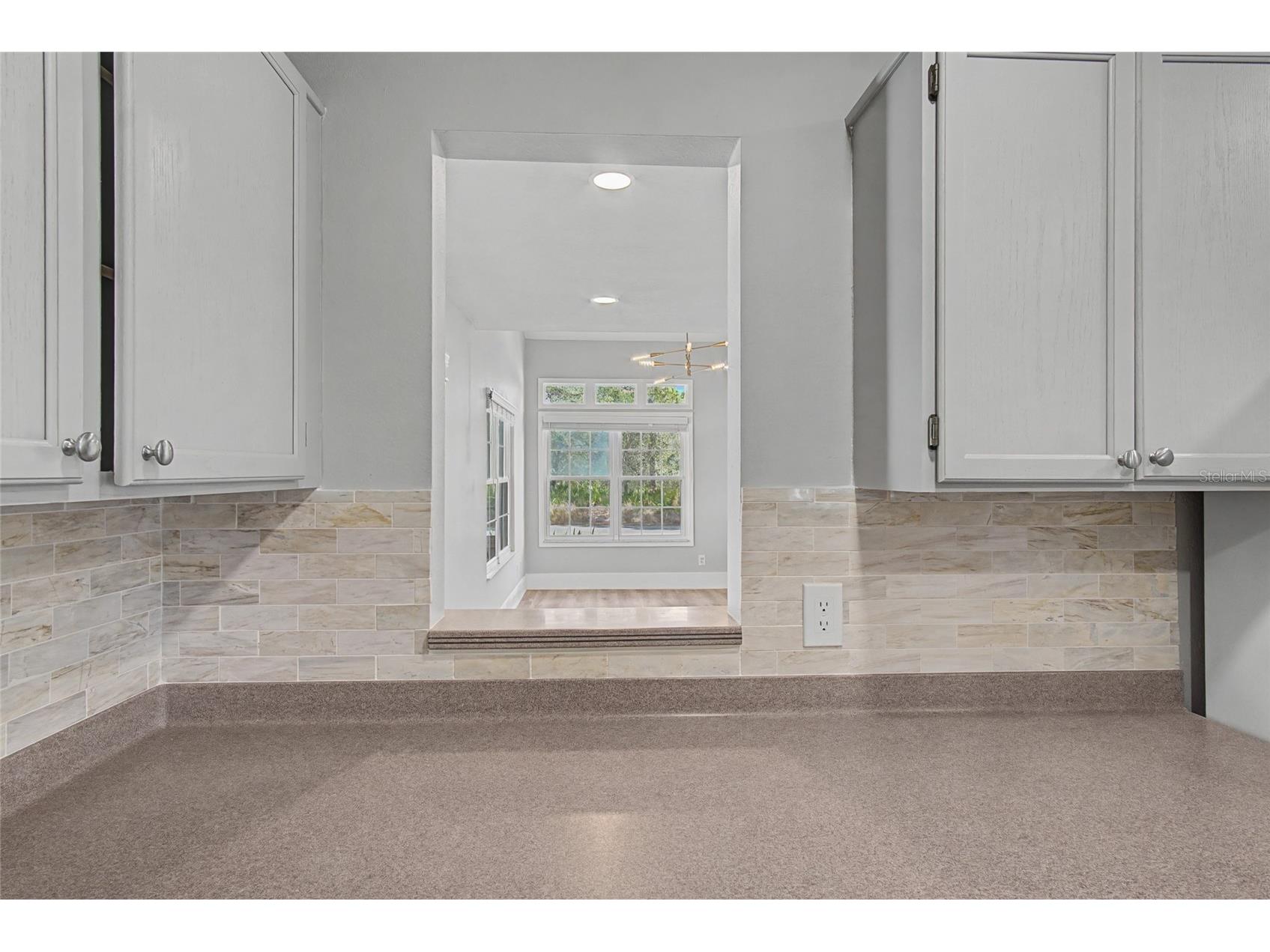 11462 Commercial Street Orlando FL 32836 O6384830 image13