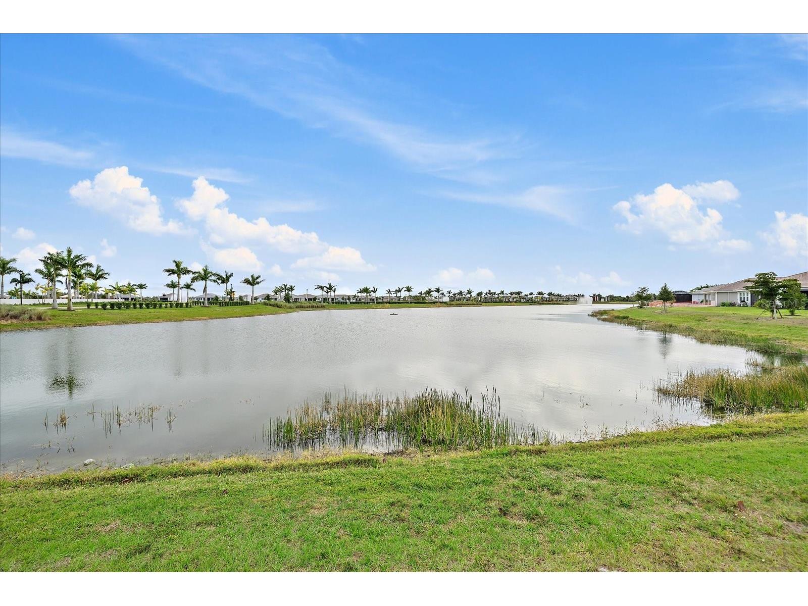 11463 Myakka Blue Drive Venice FL 34293 N6142342 image54
