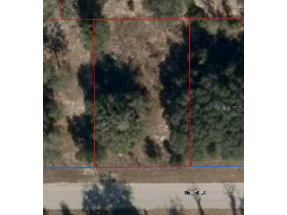 11465 NE 69th Lane Williston FL 32696 GC533432 image1