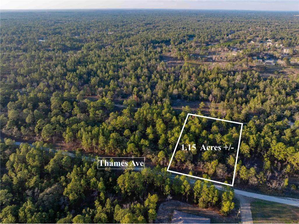 11465 Thames Avenue Weeki Wachee FL 34614 TB8353531 image1