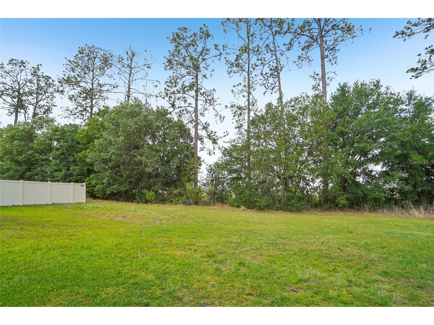 11467 Cay Spruce Way San Antonio FL 33576 TB8460973 image44