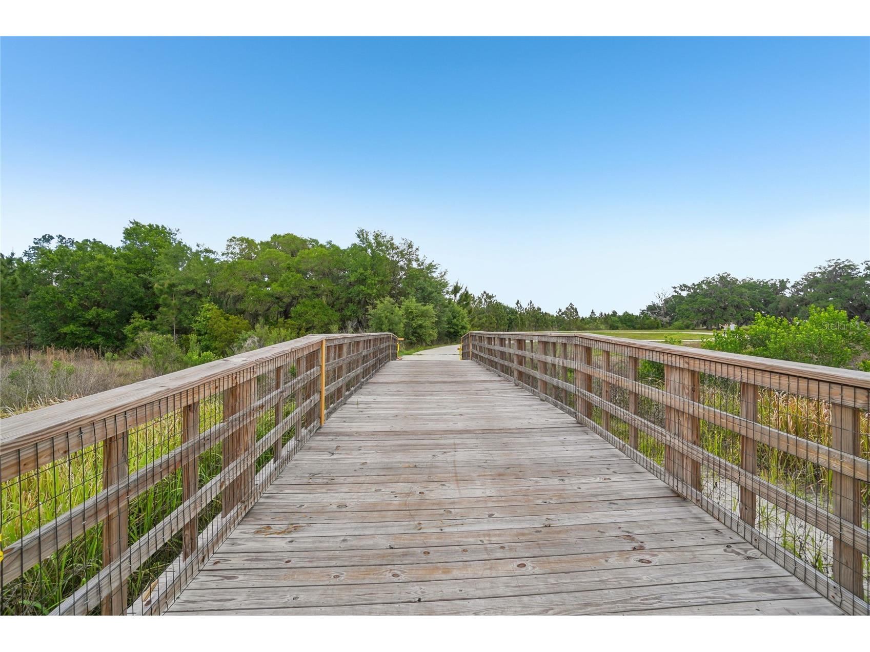 11467 Cay Spruce Way San Antonio FL 33576 TB8460973 image45