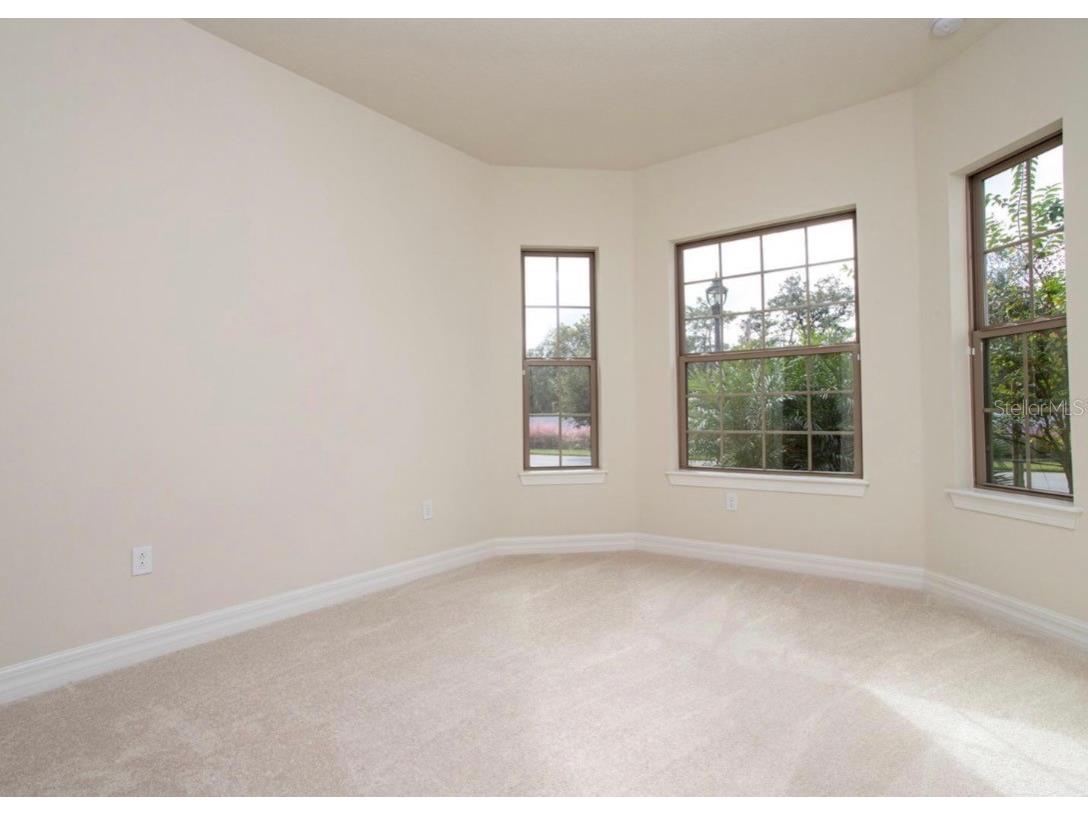 11467 Citrus Fields Place Orlando FL 32836 O6376959 image16
