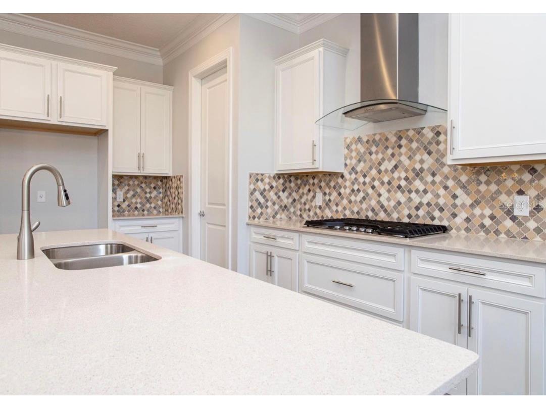 11467 Citrus Fields Place Orlando FL 32836 O6376959 image33