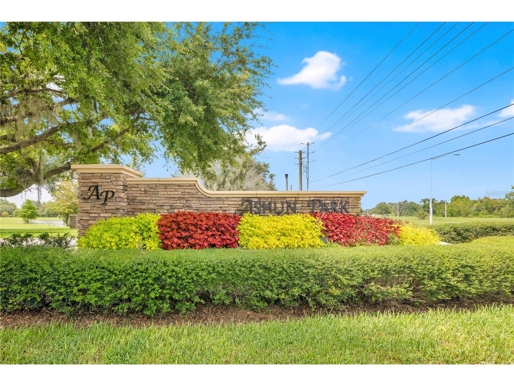11468 Misty Oak Alley Windermere FL 34786 O6425336 image36