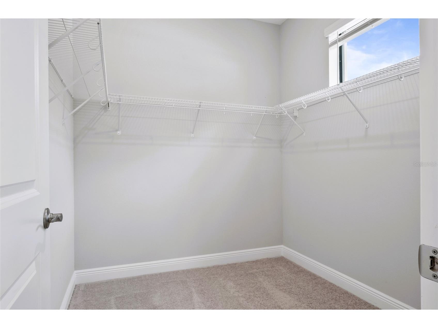 11468 Weaver Hollow Road New Port Richey FL 34654 TB8478043 image22