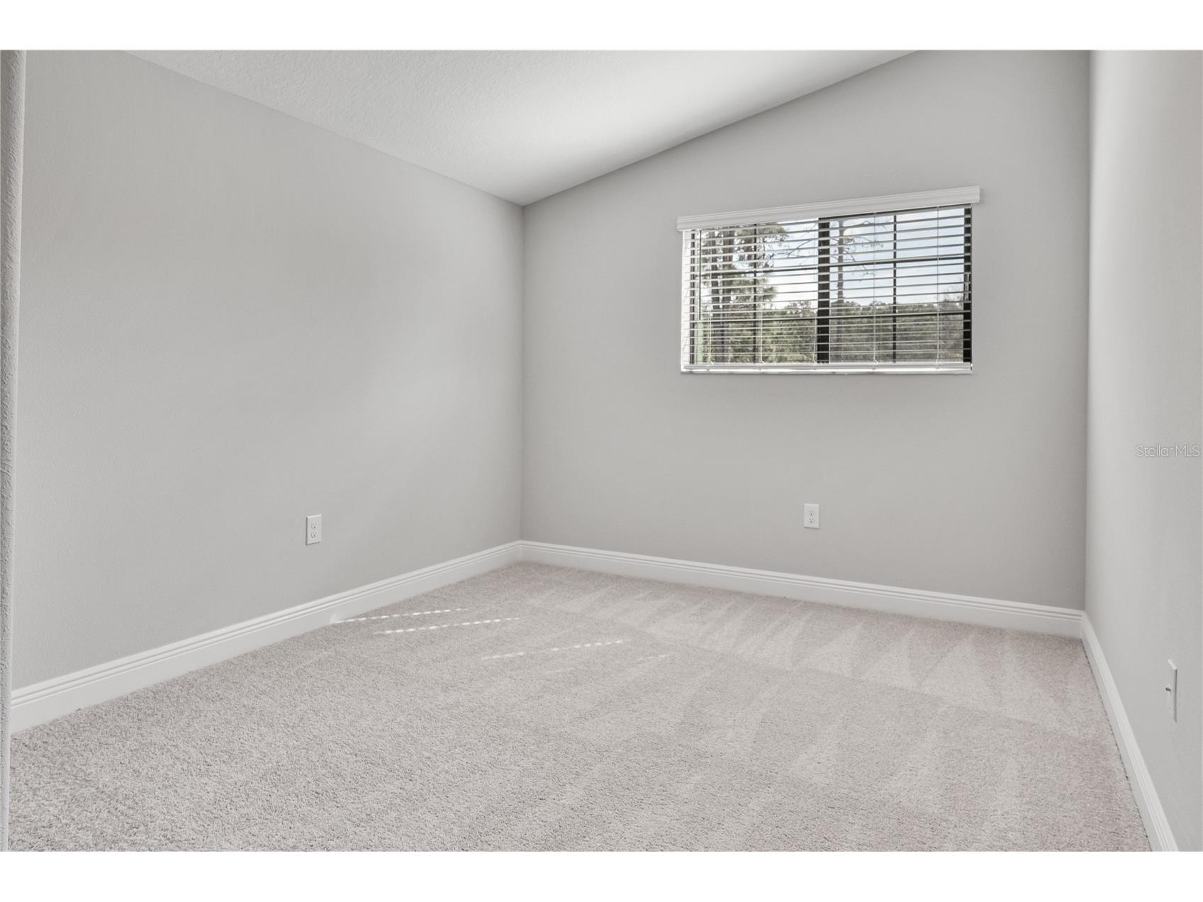 11468 Weaver Hollow Road New Port Richey FL 34654 TB8478043 image33