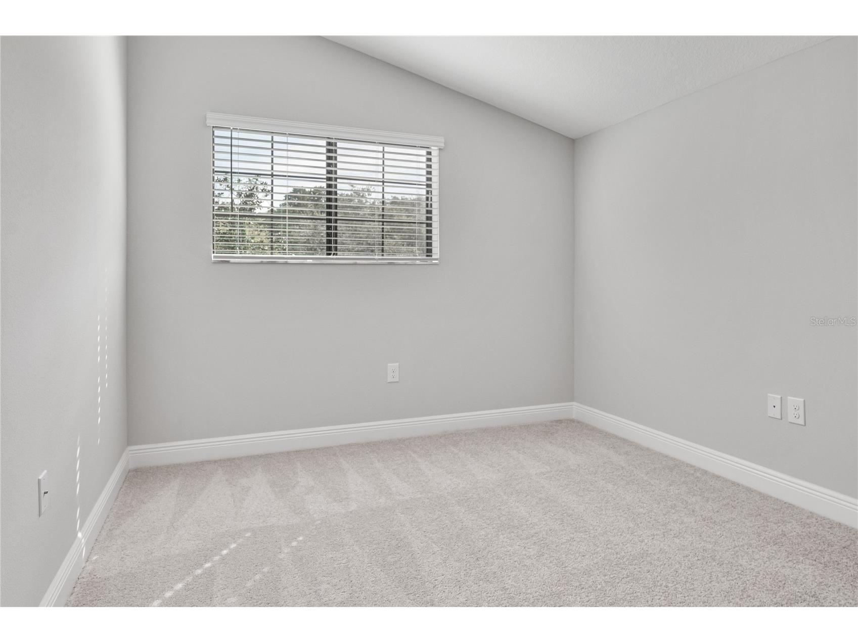 11468 Weaver Hollow Road New Port Richey FL 34654 TB8478043 image37