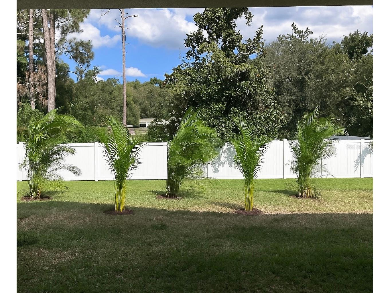 11468 Weaver Hollow Road New Port Richey FL 34654 TB8478043 image45