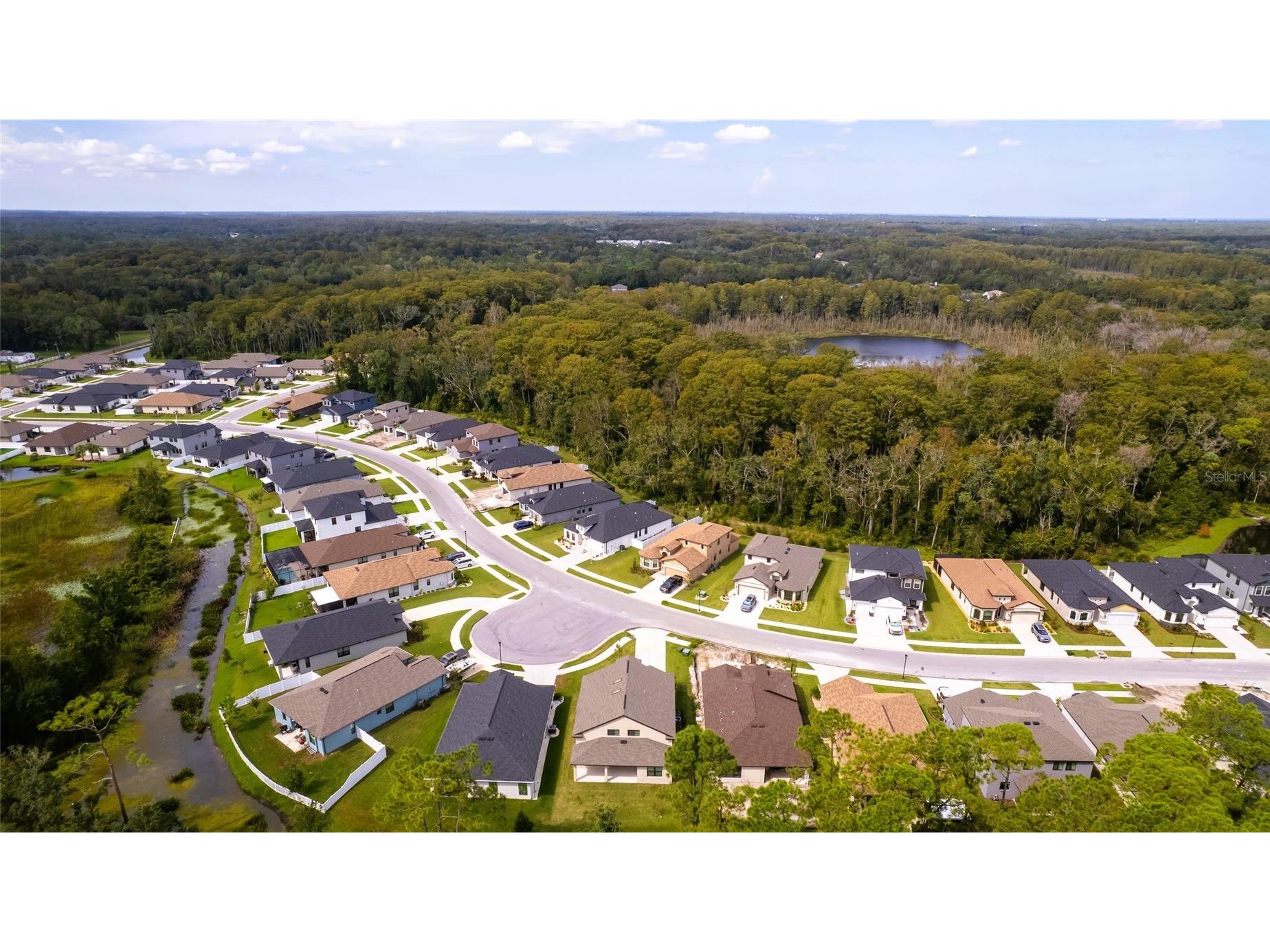 11468 Weaver Hollow Road New Port Richey FL 34654 TB8478043 image51