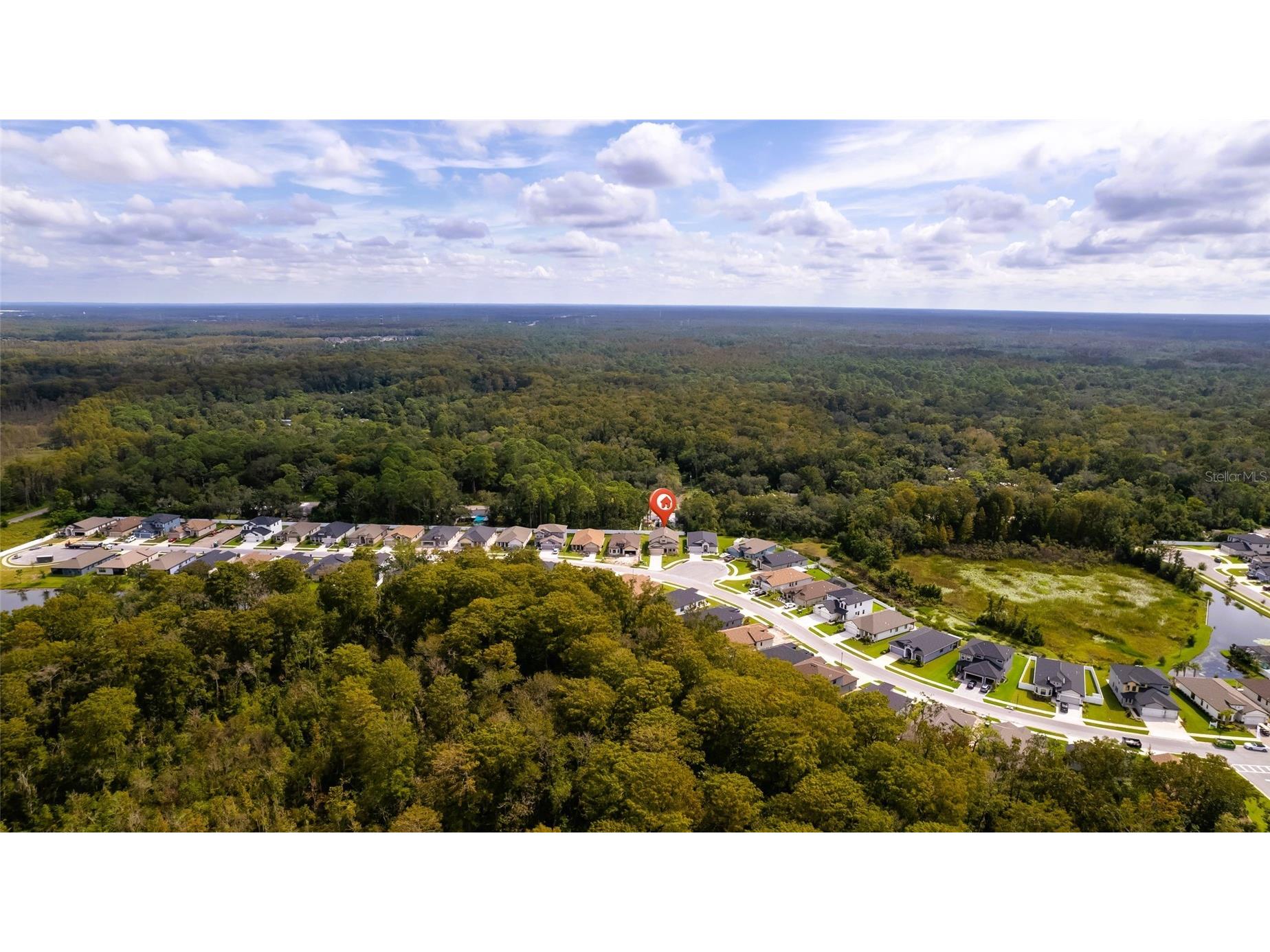 11468 Weaver Hollow Road New Port Richey FL 34654 TB8478043 image52