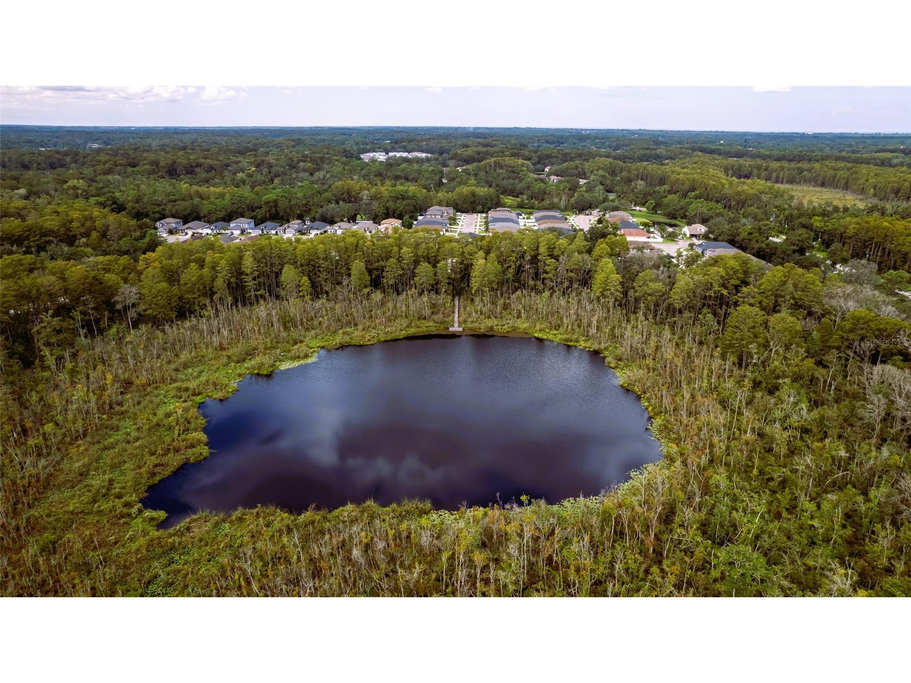 11468 Weaver Hollow Road New Port Richey FL 34654 TB8478043 image55