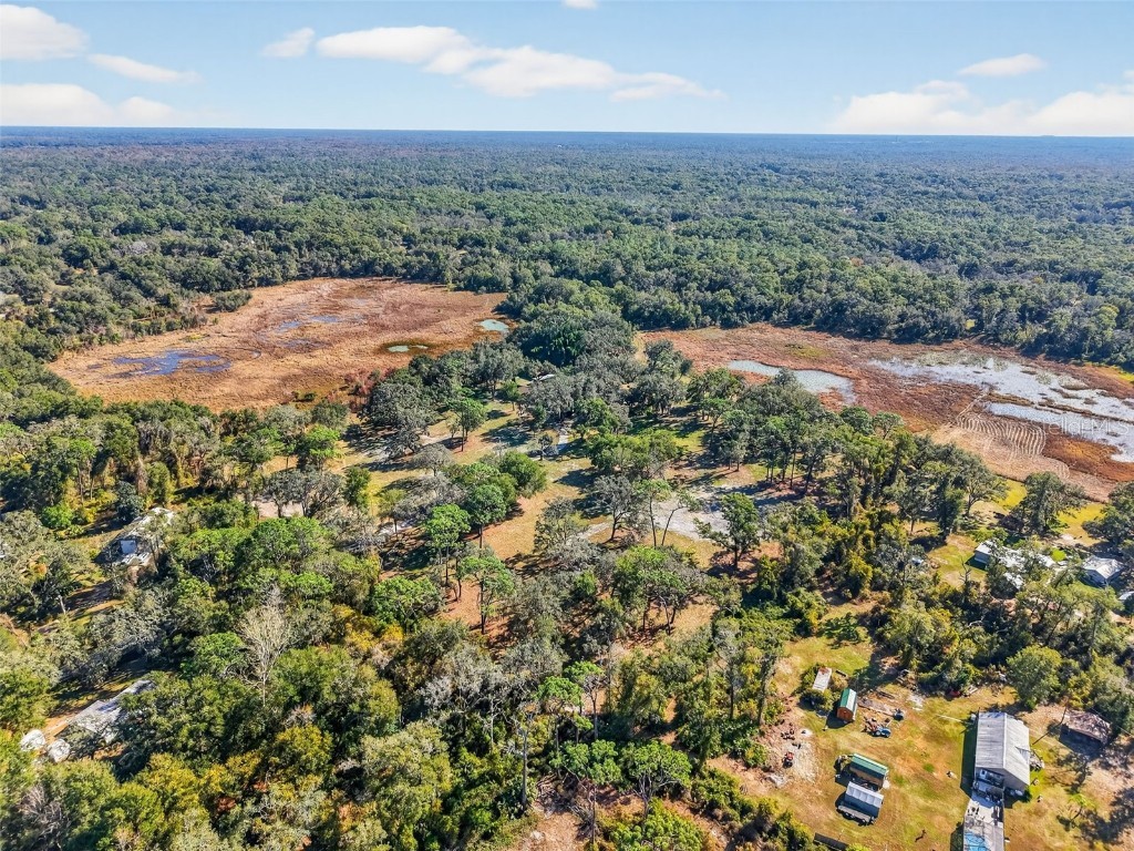 11469 Sw 49th Plaza Webster FL 33597 O6352265 image13