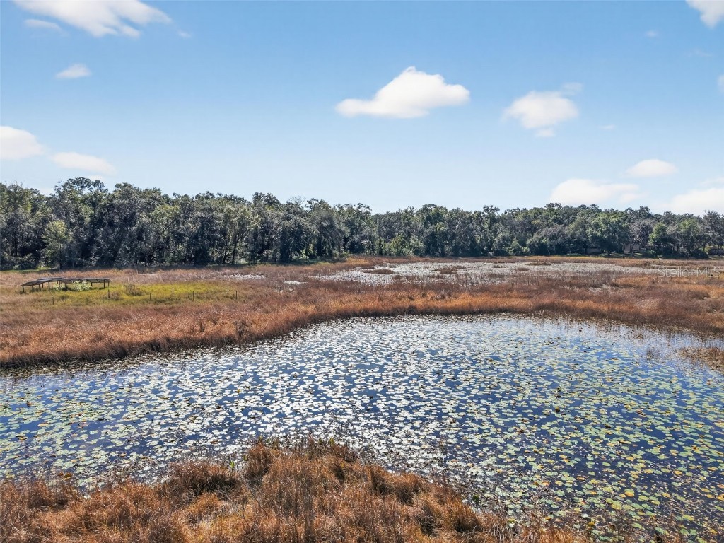 11469 Sw 49th Plaza Webster FL 33597 O6352265 image8