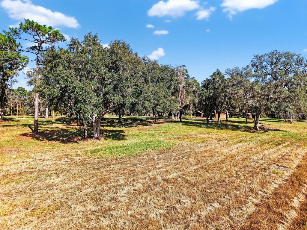 11469 Sw 49th Plaza Webster FL 33597 O6352265 image9