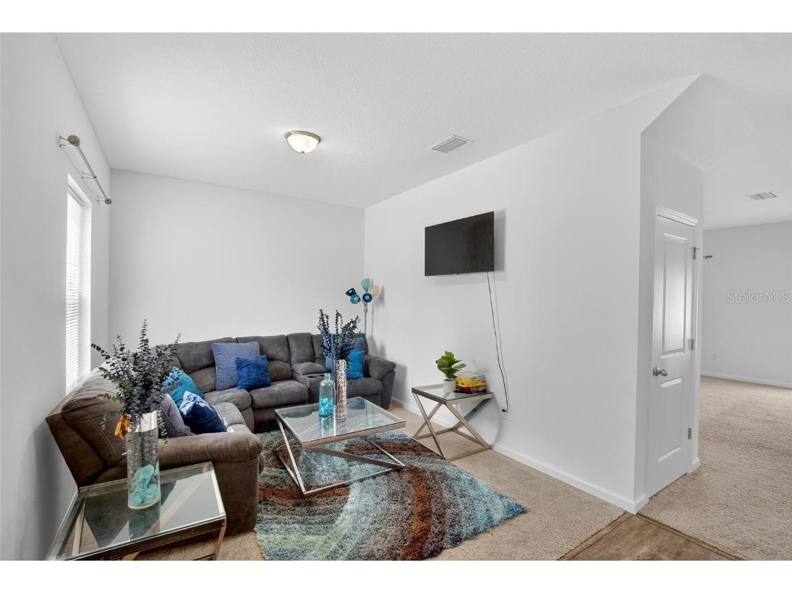 1147 Anchor Bend Drive Ruskin FL 33570 TB8429799 image20