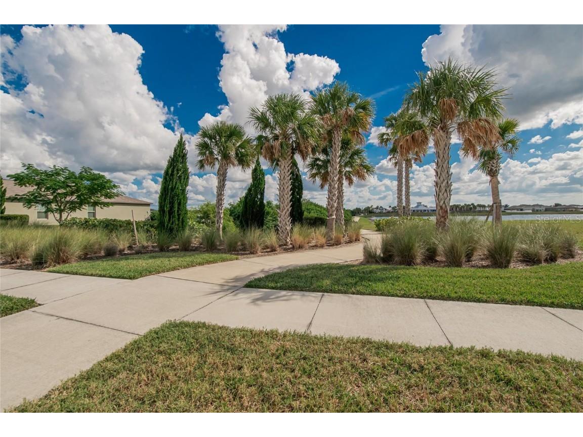 1147 Anchor Bend Drive Ruskin FL 33570 TB8429799 image4