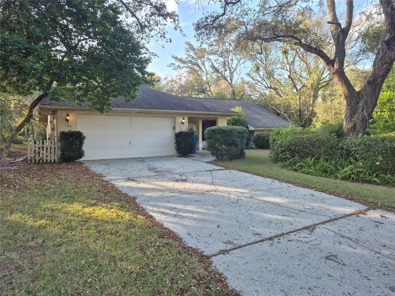 1147 Barranca Avenue Spring Hill FL 34609 TB8466726 image1