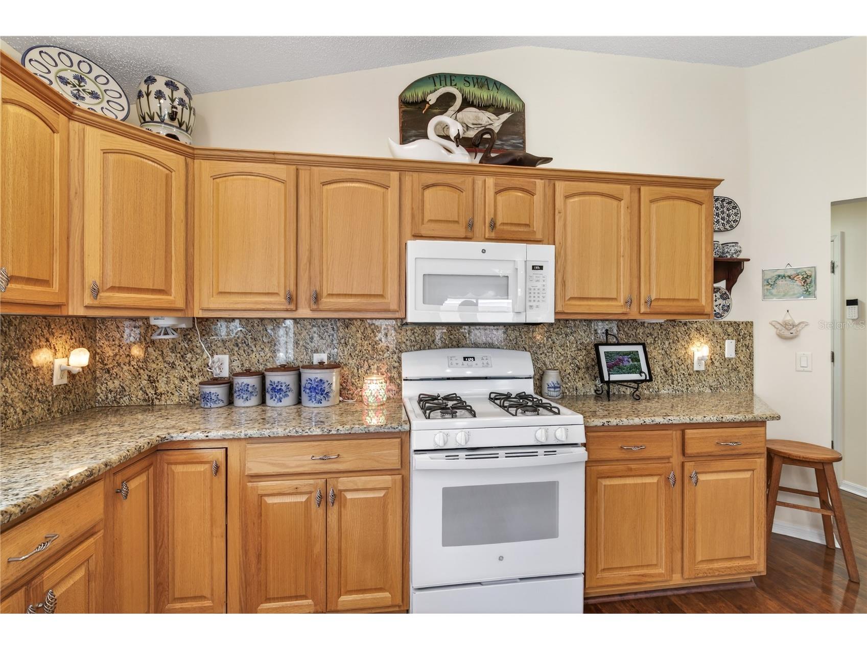 1147 Elizabeth Court The Villages FL 32162 G5110344 image15