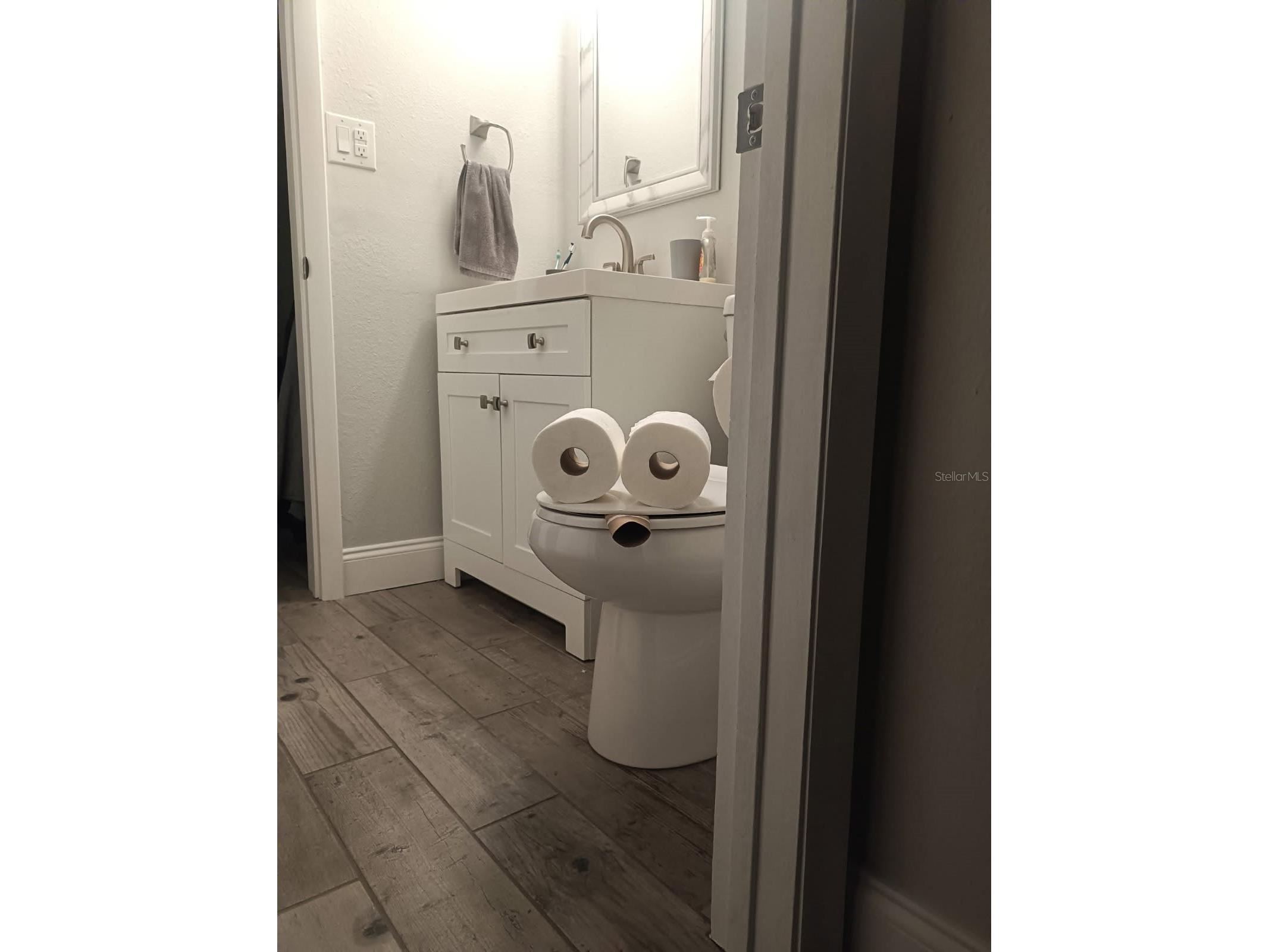 1147 King Arthur Court #204 Dunedin FL 34698 TB8496848 image19