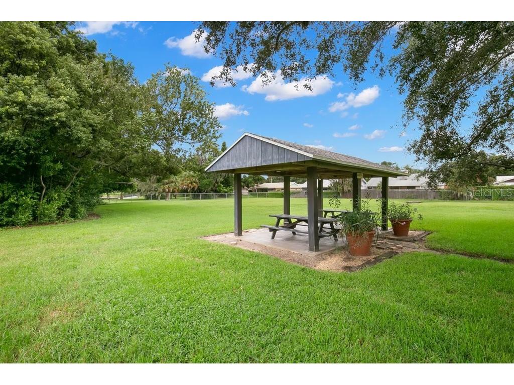 1147 King Arthur Court #204 Dunedin FL 34698 TB8496848 image28