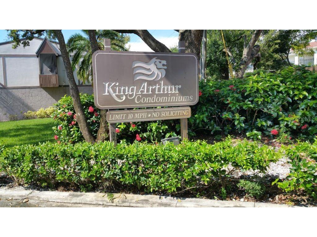 1147 King Arthur Ct #206 Dunedin FL 34698 U8204697 image1