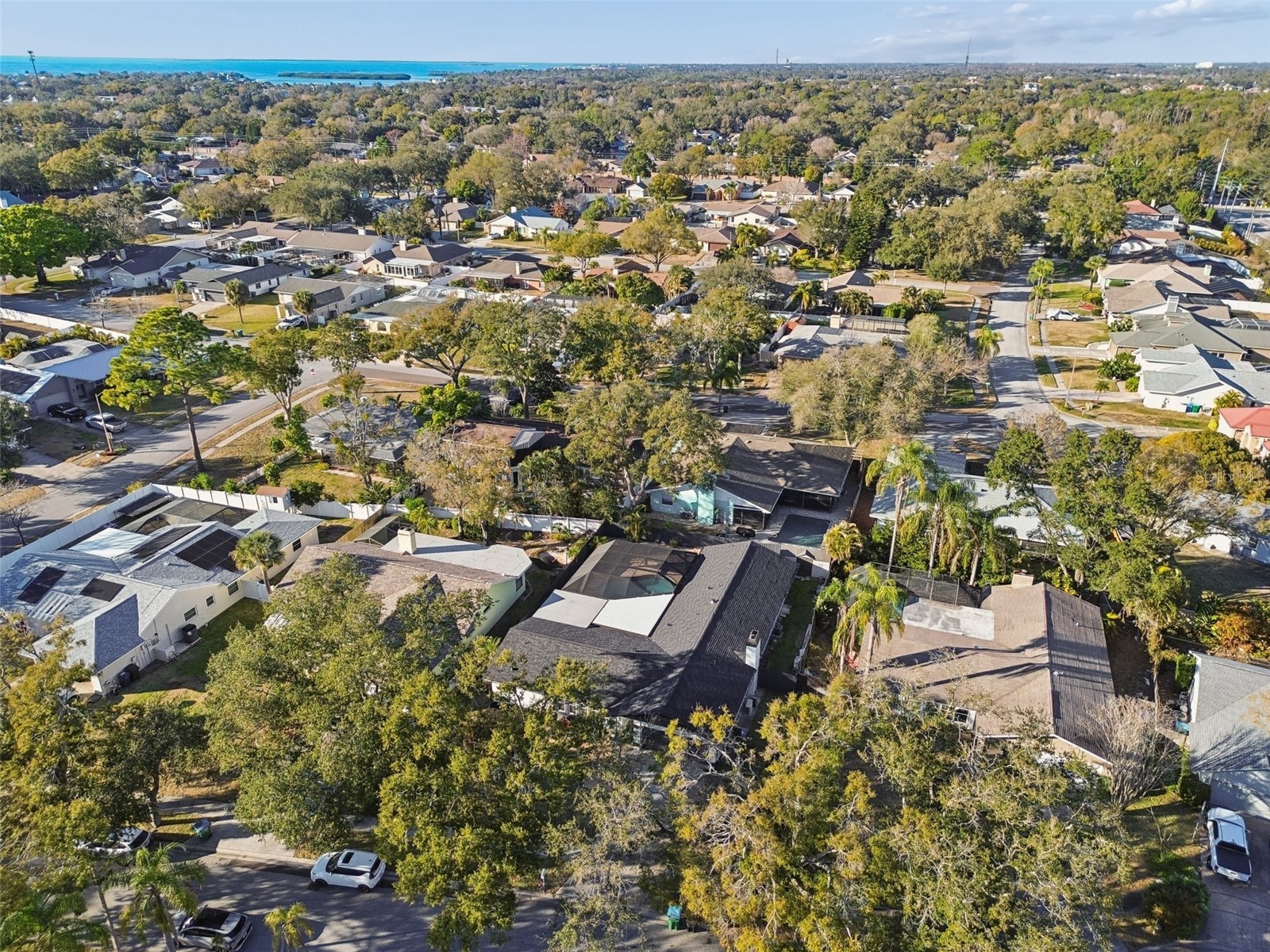 1147 Ridgecrest Court Palm Harbor FL 34683 TB8473795 image63