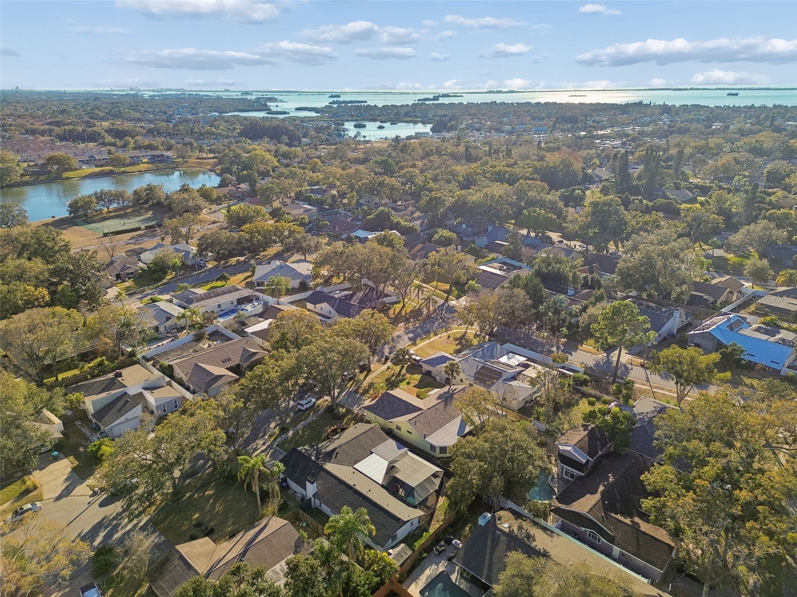 1147 Ridgecrest Court Palm Harbor FL 34683 TB8473795 image64