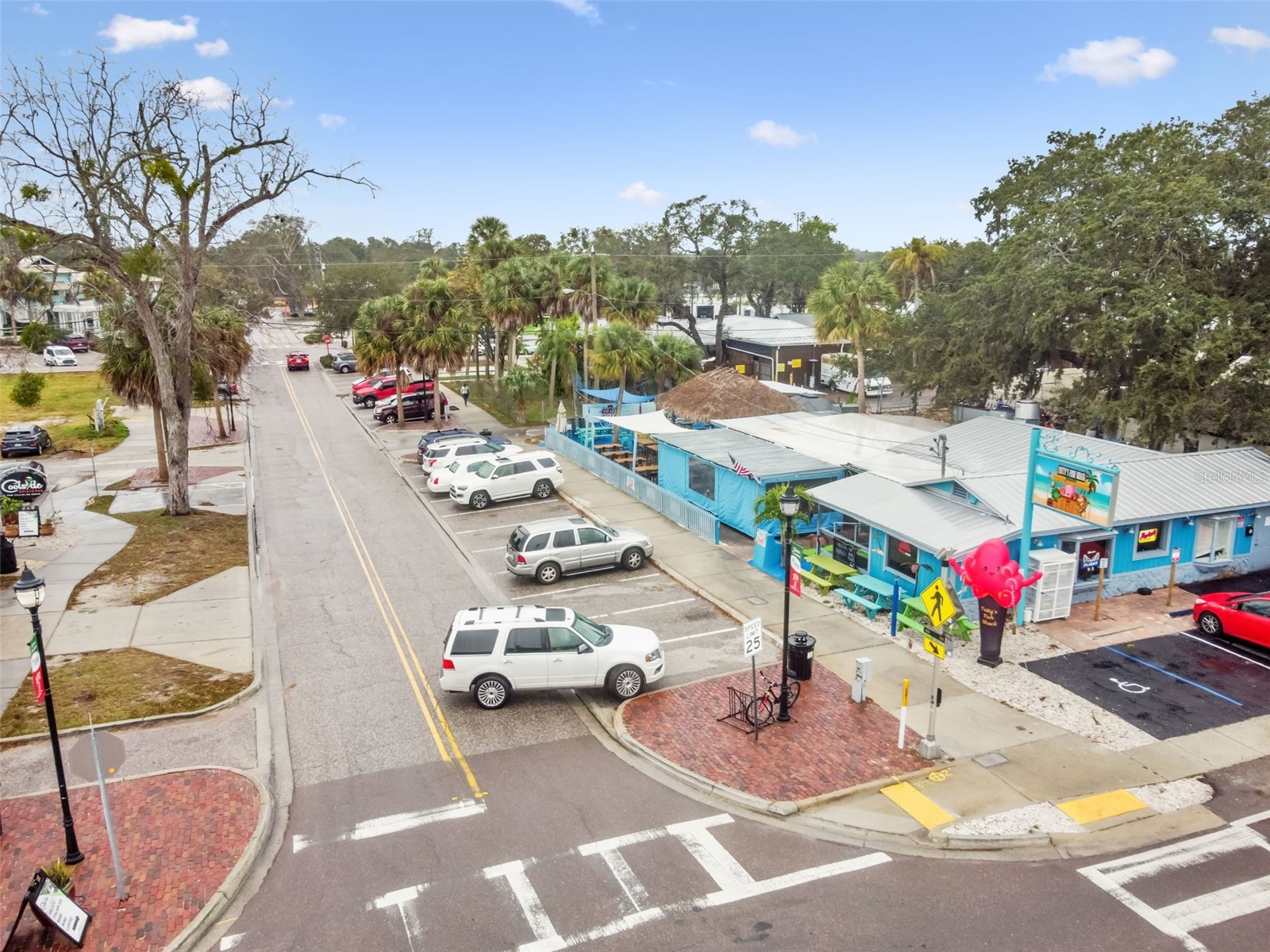 1147 Ridgecrest Court Palm Harbor FL 34683 TB8473795 image65