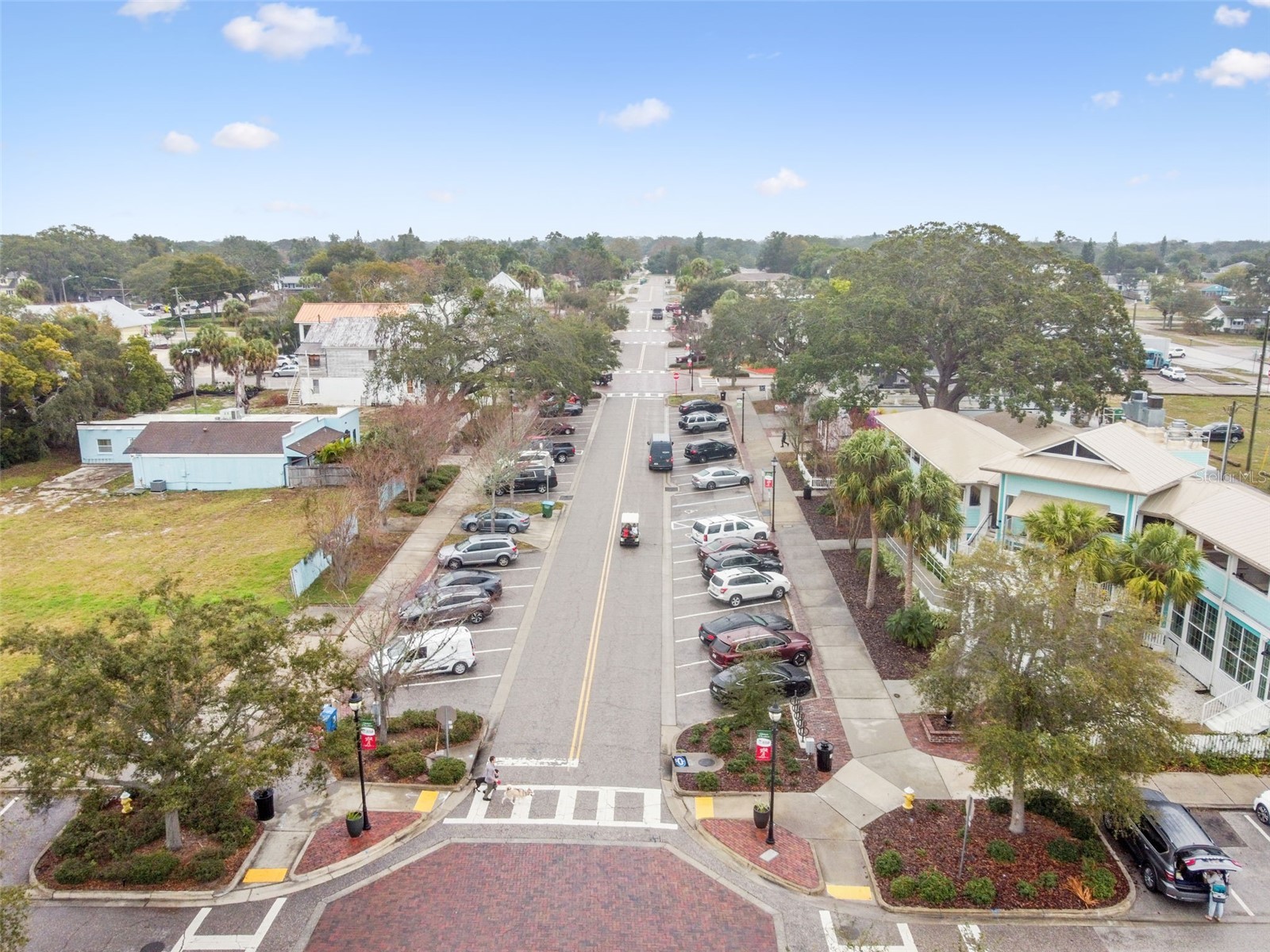 1147 Ridgecrest Court Palm Harbor FL 34683 TB8473795 image67