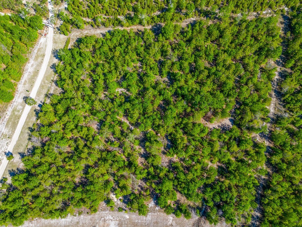 1147 SE Hammerly Street Madison FL 32340 GC539752 image29