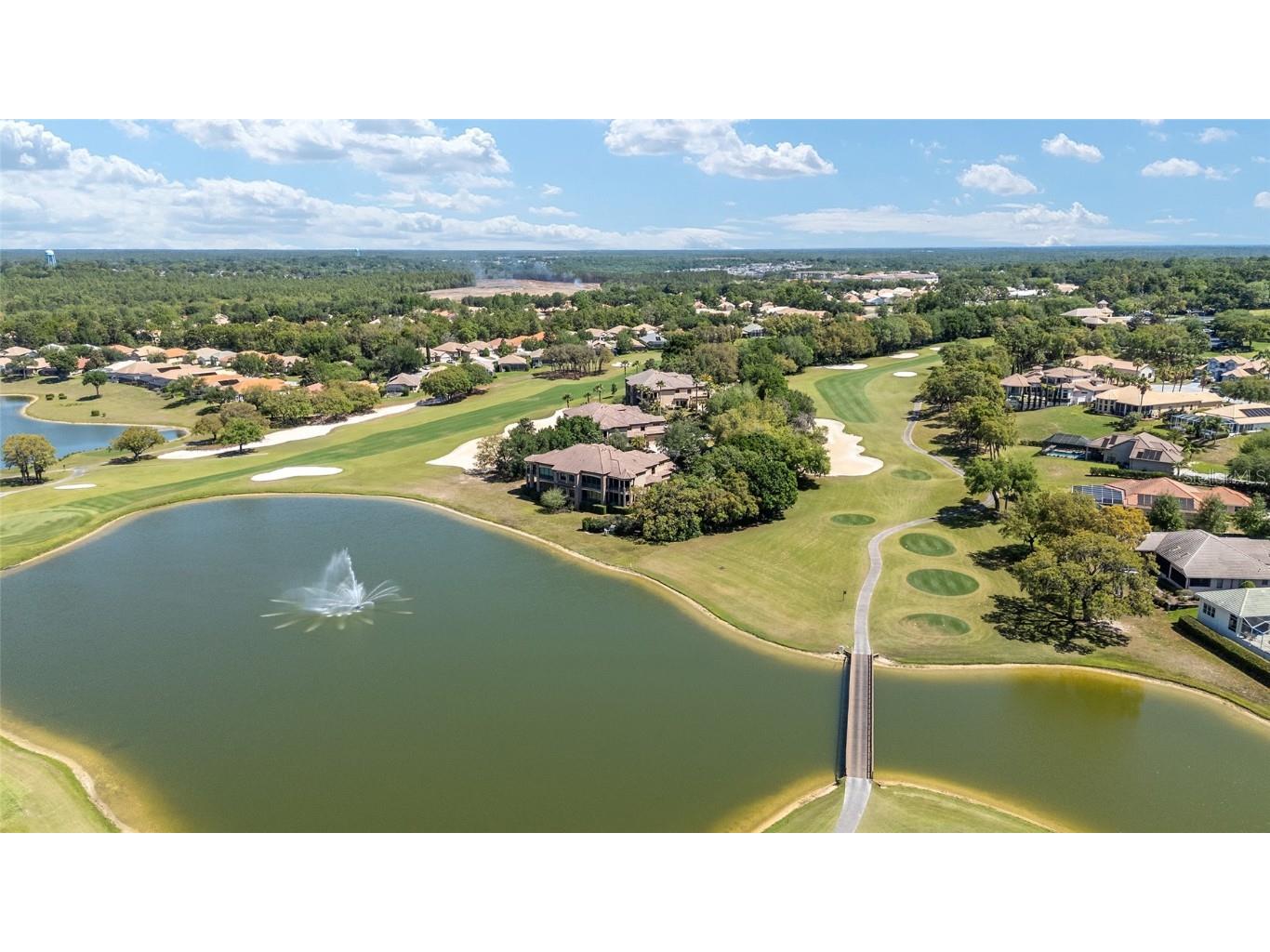 1147 W Pointe Vista Path #C1 Hernando FL 34442 OM699903 image57