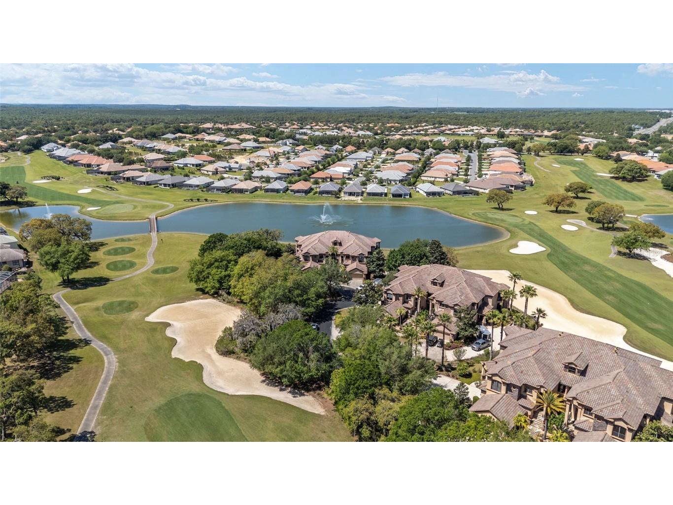 1147 W Pointe Vista Path #C1 Hernando FL 34442 OM699903 image58