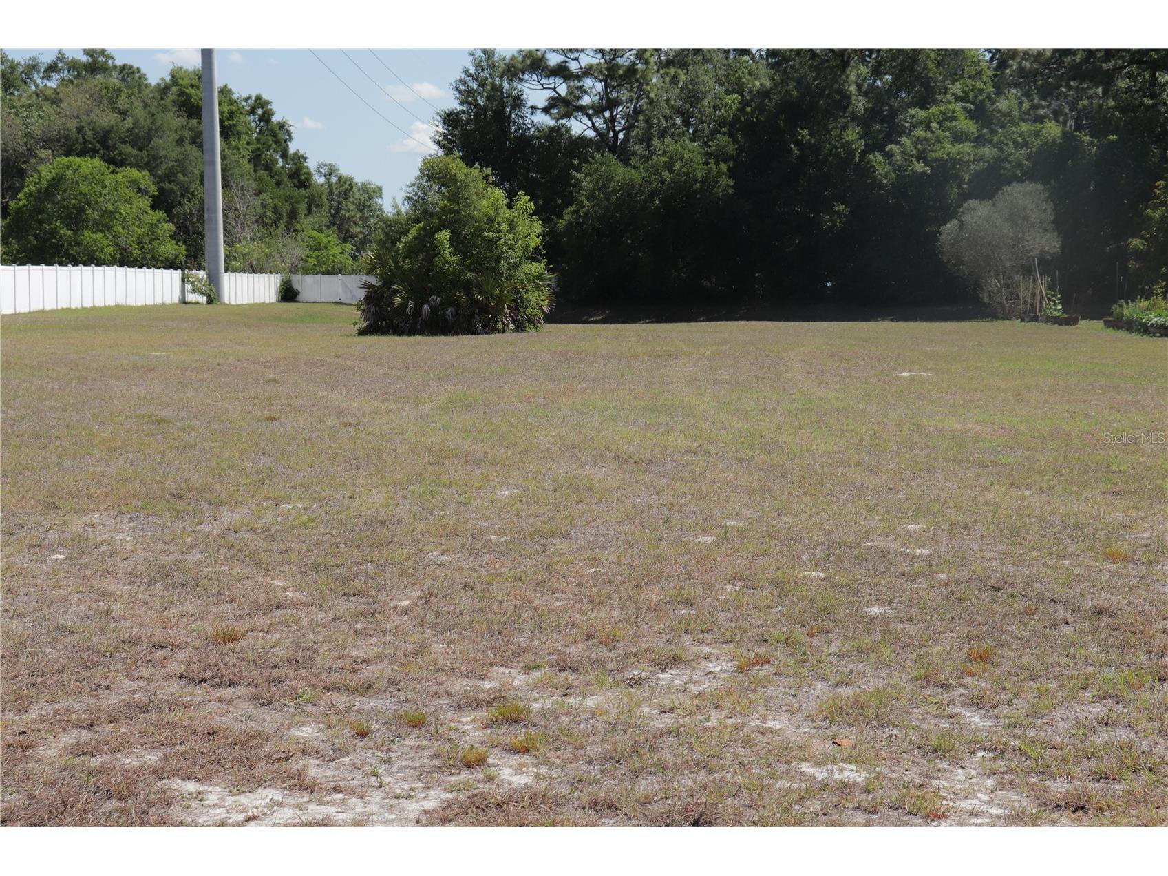 11470 Maya Court New Port Richey FL 34654 TB8502396 image5