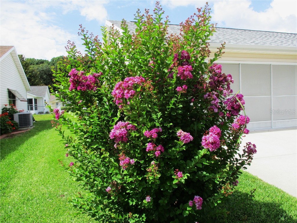 11470 SW 139th Street Dunnellon FL 34432 OM703697 image72