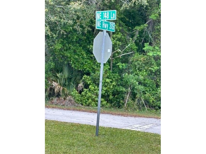 11471 E Highway 316 Fort Mc Coy FL 32134 OM722501 image10