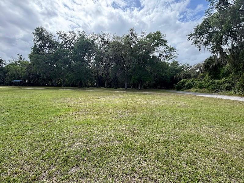 11471 E Highway 316 Fort Mc Coy FL 32134 OM722501 image14