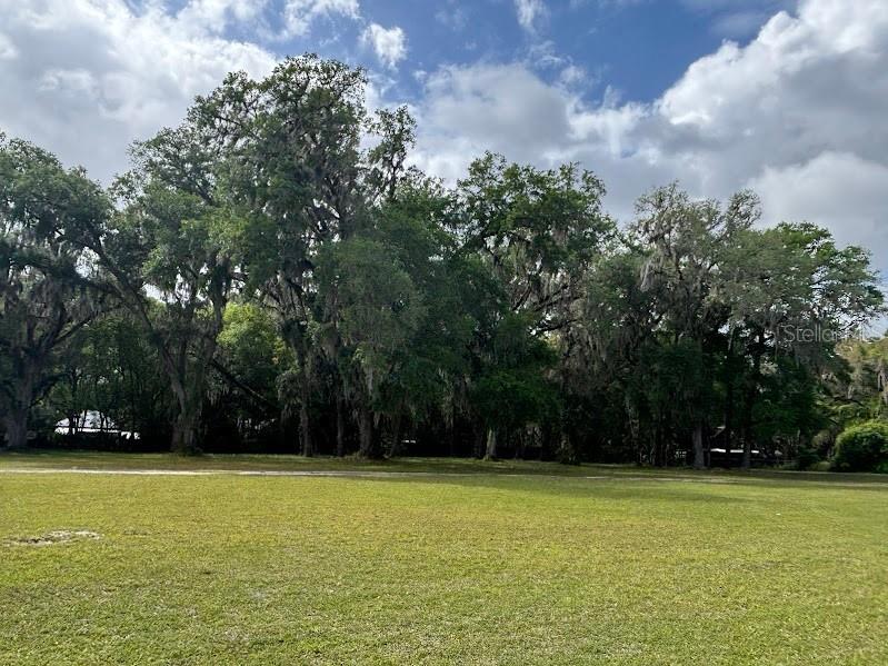 11471 E Highway 316 Fort Mc Coy FL 32134 OM722501 image16