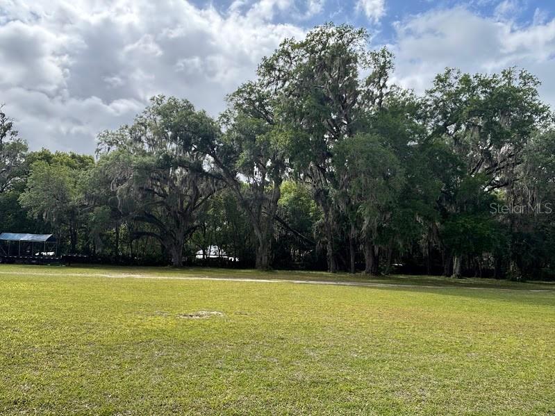 11471 E Highway 316 Fort Mc Coy FL 32134 OM722501 image17