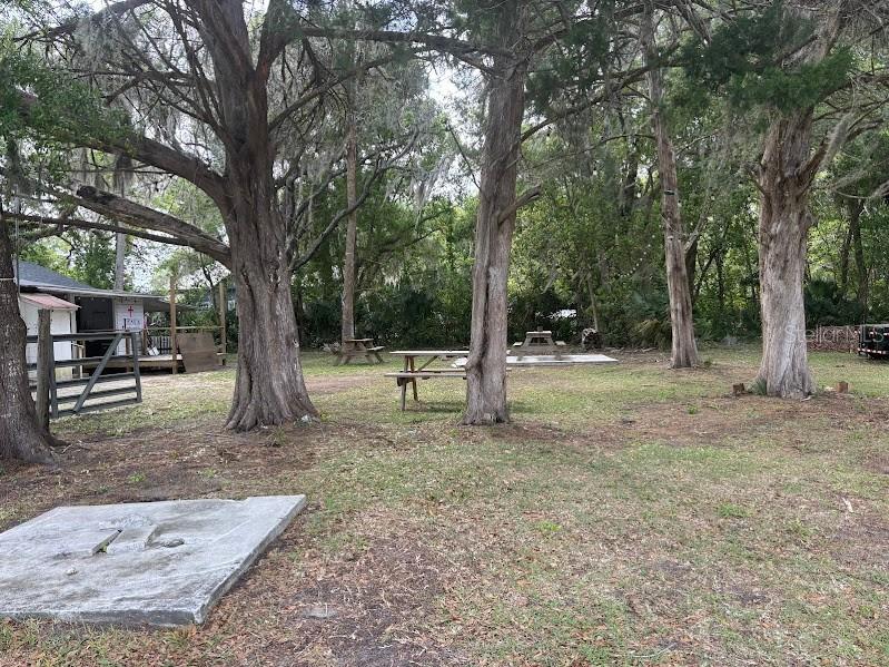 11471 E Highway 316 Fort Mc Coy FL 32134 OM722501 image30