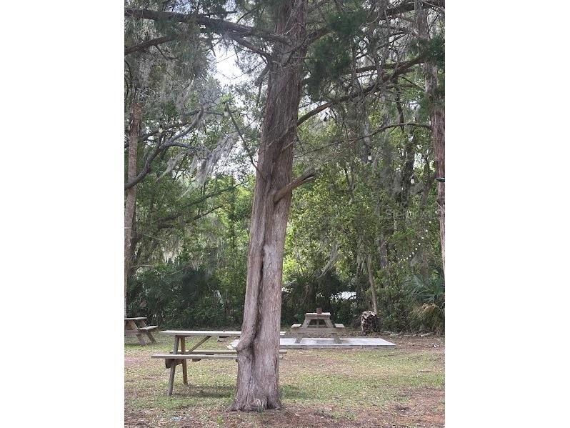 11471 E Highway 316 Fort Mc Coy FL 32134 OM722501 image31
