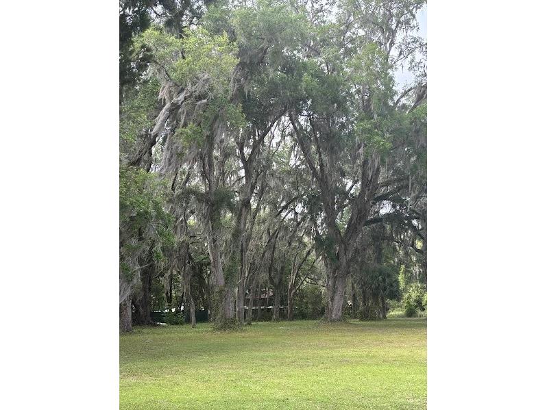 11471 E Highway 316 Fort Mc Coy FL 32134 OM722501 image32