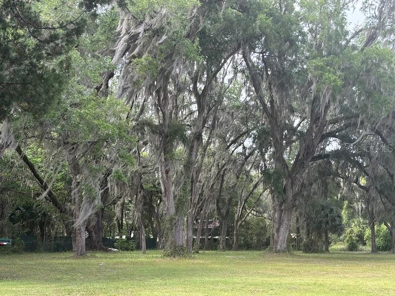 11471 E Highway 316 Fort Mc Coy FL 32134 OM722501 image33