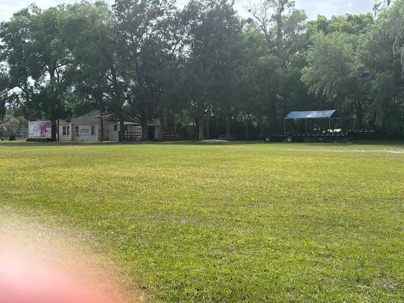 11471 E Highway 316 Fort Mc Coy FL 32134 OM722501 image4