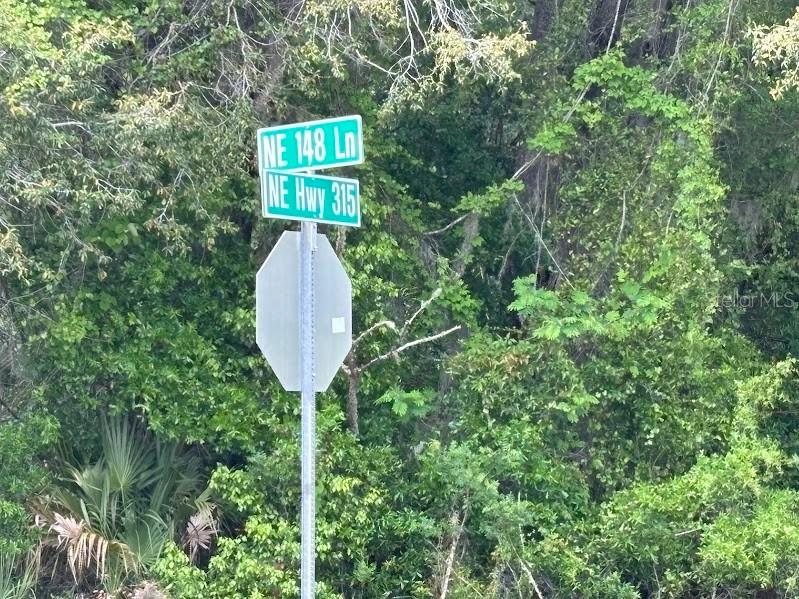 11471 E Highway 316 Fort Mc Coy FL 32134 OM722501 image9