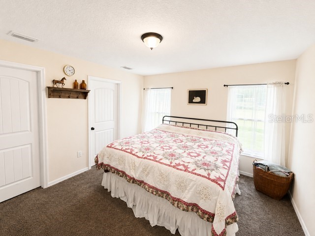 11472 Pine Warbler Avenue Brooksville FL 34614 O6415088 image43