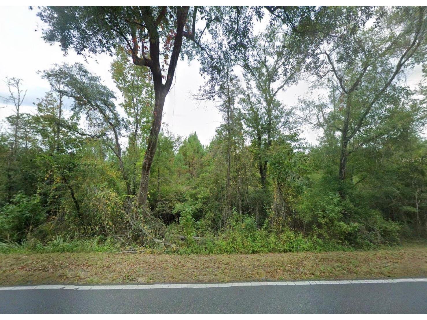 11473 Bud Henry Place Tallahassee FL 32317 TB8512892 image2